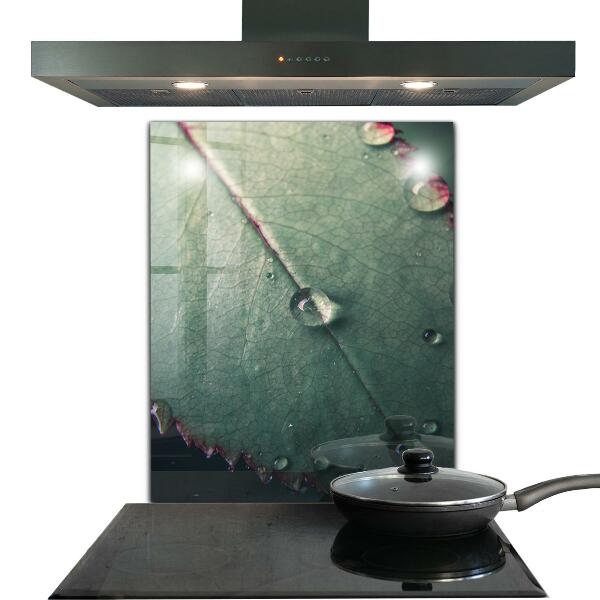 Stänkskydd kök Löv med daggdroppe