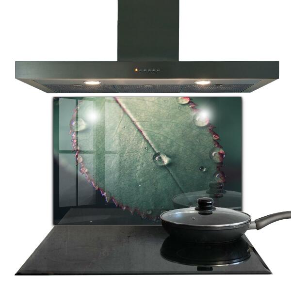 Stänkskydd kök Löv med daggdroppe