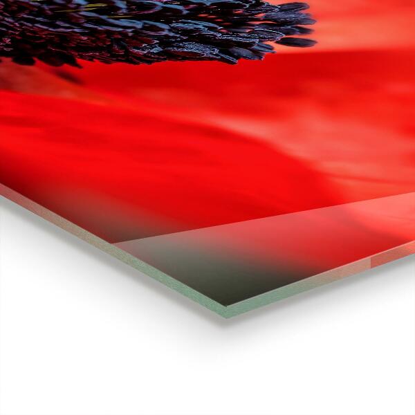 Stänkskydd kök Röd vallmo detaljer