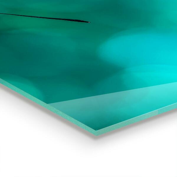 Stänkskydd kök Vacker fjäril i naturen