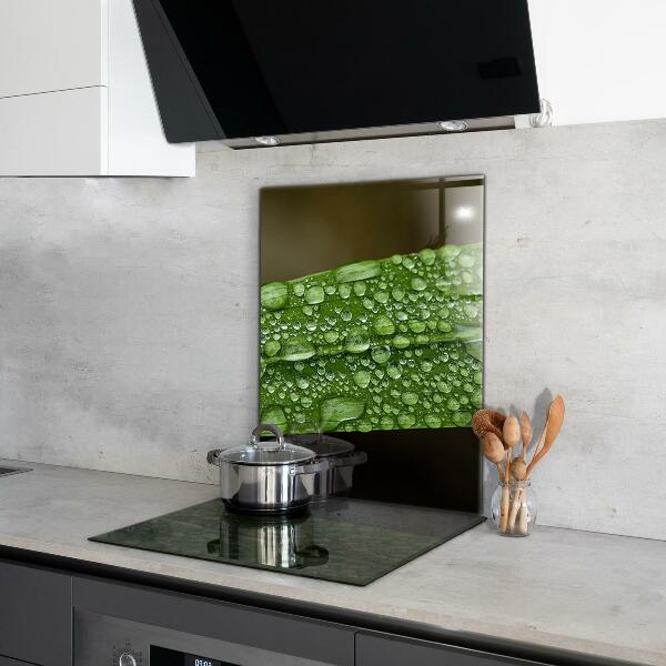 Stänkskydd kök Grönt blad efter regn