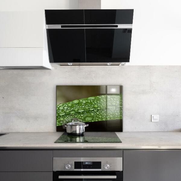 Stänkskydd kök Grönt blad efter regn