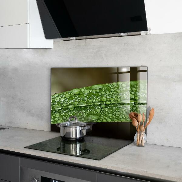 Stänkskydd kök Grönt blad efter regn