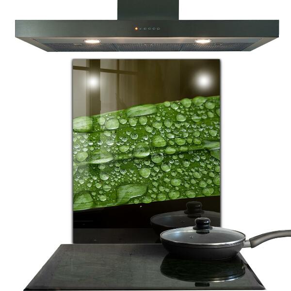 Stänkskydd kök Grönt blad efter regn