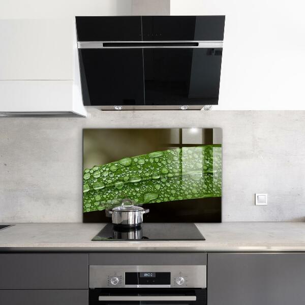 Stänkskydd kök Grönt blad efter regn