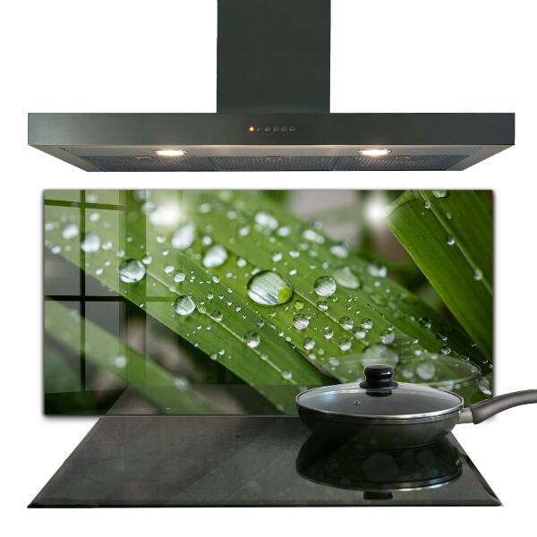 Stänkskydd kök Daggdroppar på gräset