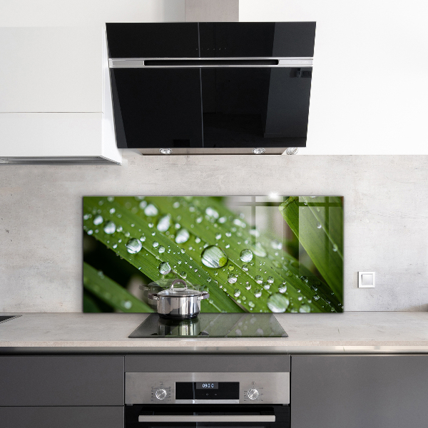 Stänkskydd kök Daggdroppar på gräset