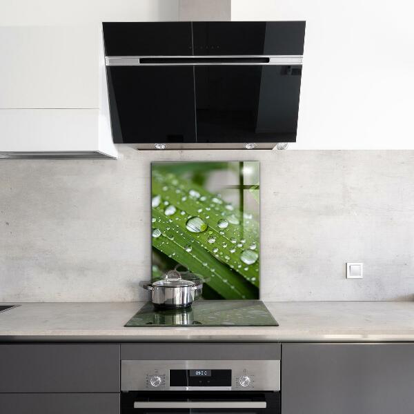 Stänkskydd kök Daggdroppar på gräset