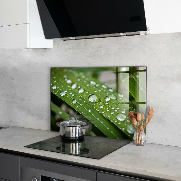 Stänkskydd kök Daggdroppar på gräset