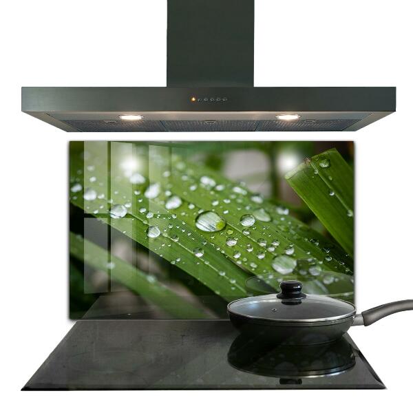 Stänkskydd kök Daggdroppar på gräset