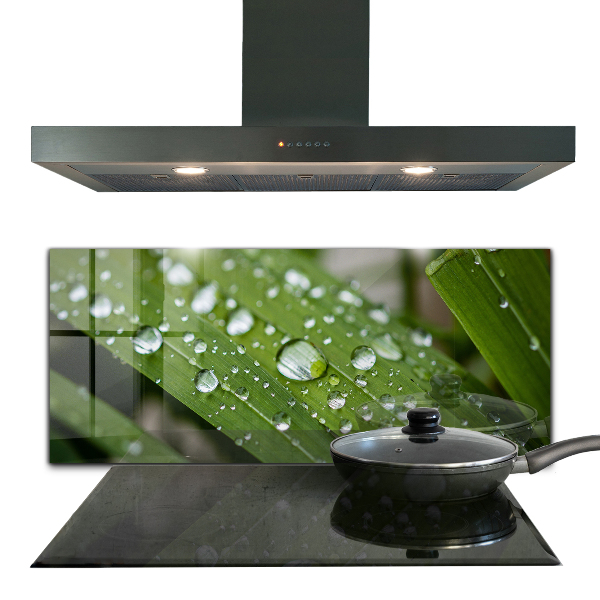 Stänkskydd kök Daggdroppar på gräset