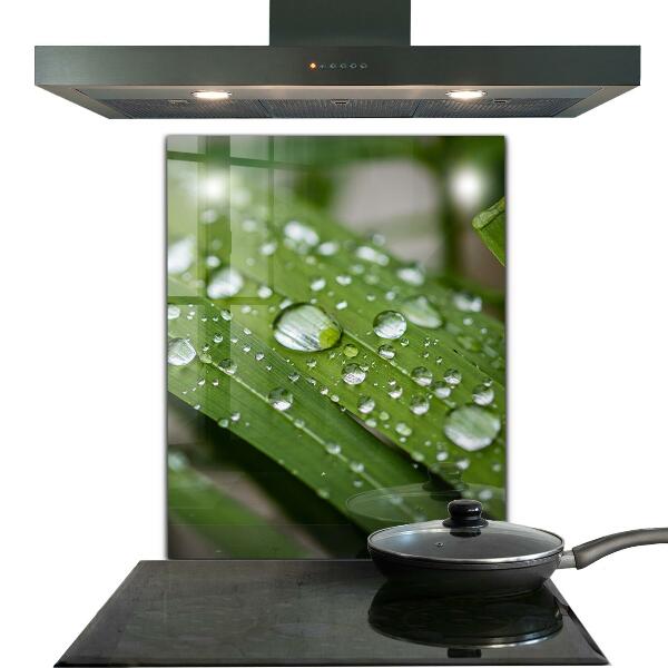 Stänkskydd kök Daggdroppar på gräset