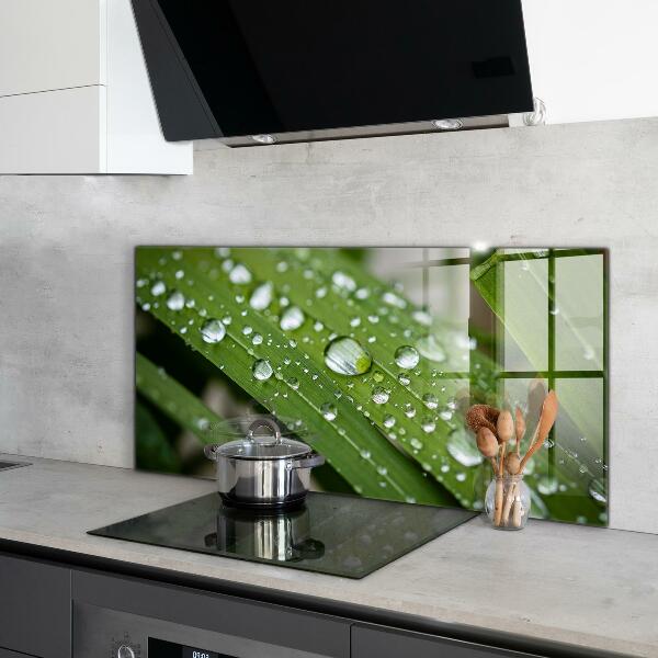 Stänkskydd kök Daggdroppar på gräset