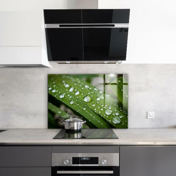 Stänkskydd kök Daggdroppar på gräset