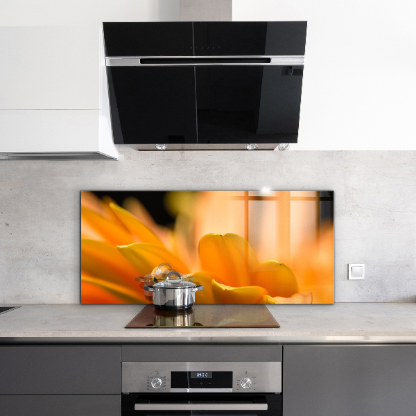 Stänkskydd kök Gerber blomma