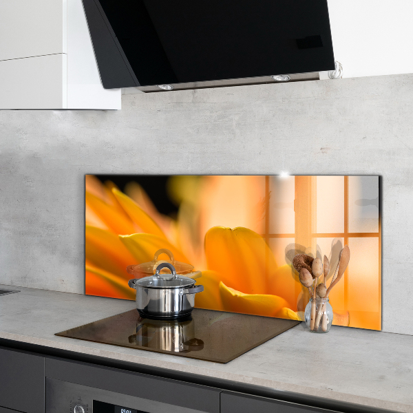 Stänkskydd kök Gerber blomma