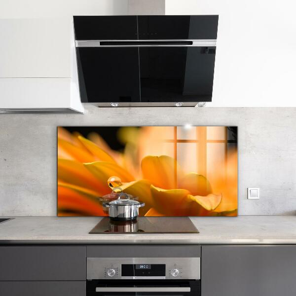 Stänkskydd kök Gerber blomma