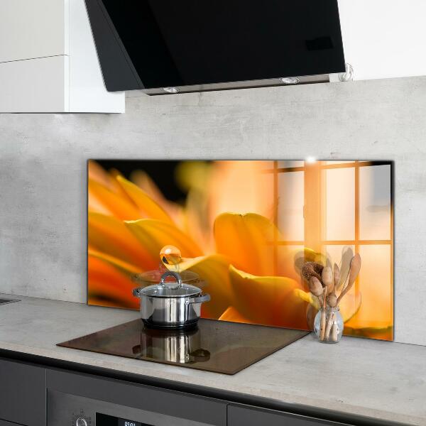 Stänkskydd kök Gerber blomma