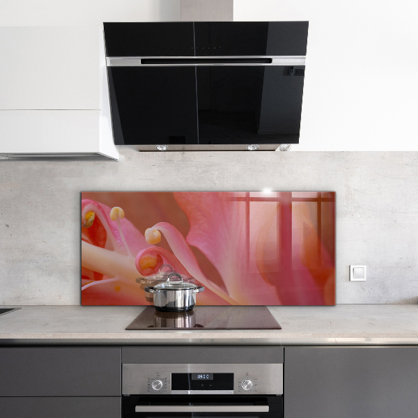 Stänkskydd kök Blomma Pollen Natur