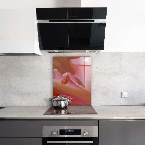 Stänkskydd kök Blomma Pollen Natur