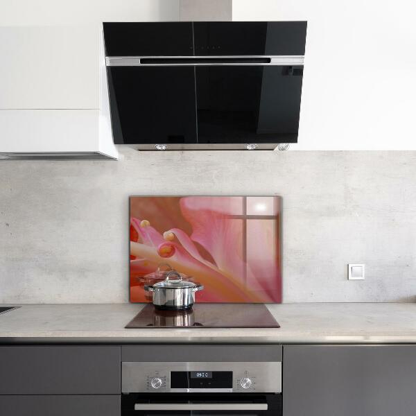 Stänkskydd kök Blomma Pollen Natur