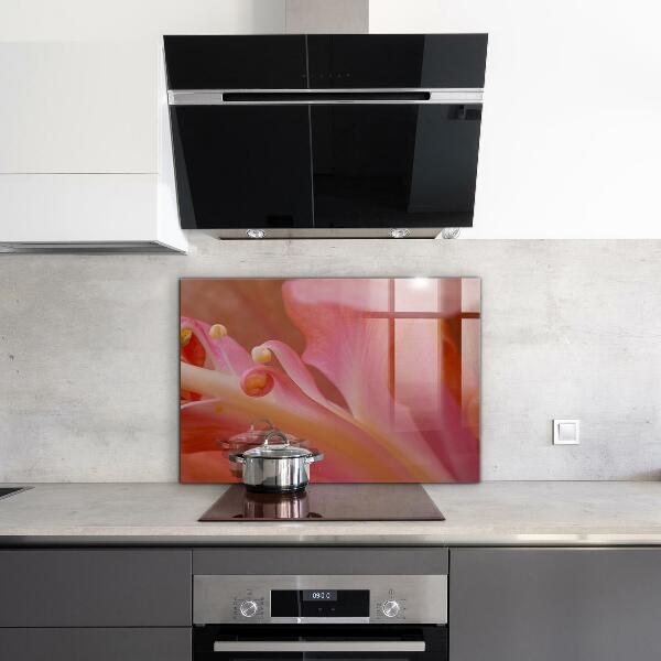 Stänkskydd kök Blomma Pollen Natur