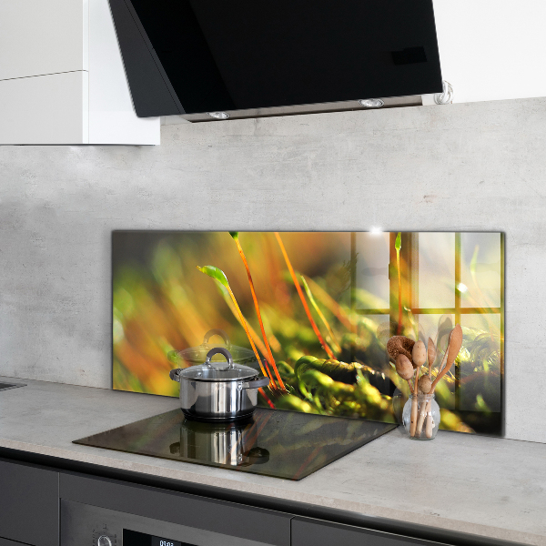 Stänkskydd kök Forest Moss Detaljer