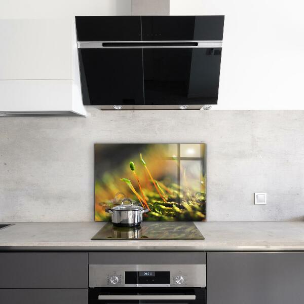 Stänkskydd kök Forest Moss Detaljer