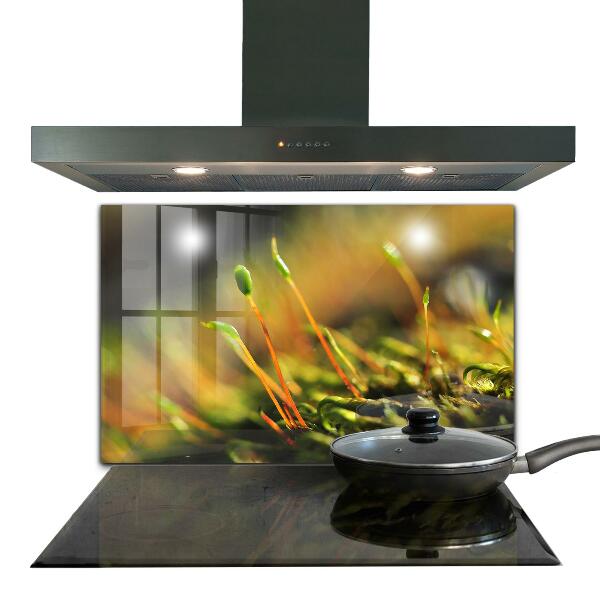 Stänkskydd kök Forest Moss Detaljer