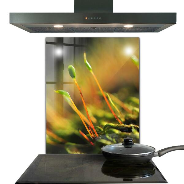 Stänkskydd kök Forest Moss Detaljer