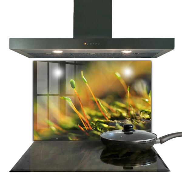 Stänkskydd kök Forest Moss Detaljer