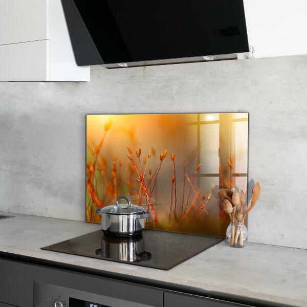 Stänkskydd kök Kornfält vid solnedgången