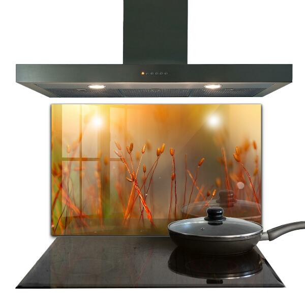 Stänkskydd kök Kornfält vid solnedgången