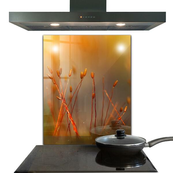 Stänkskydd kök Kornfält vid solnedgången