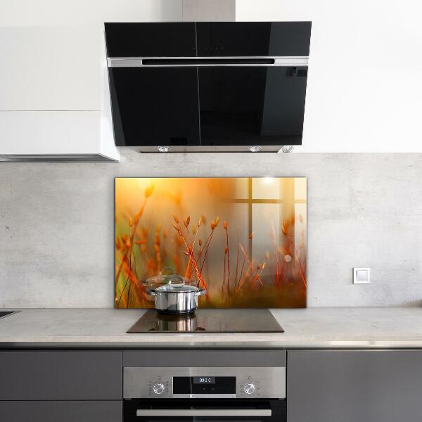 Stänkskydd kök Kornfält vid solnedgången