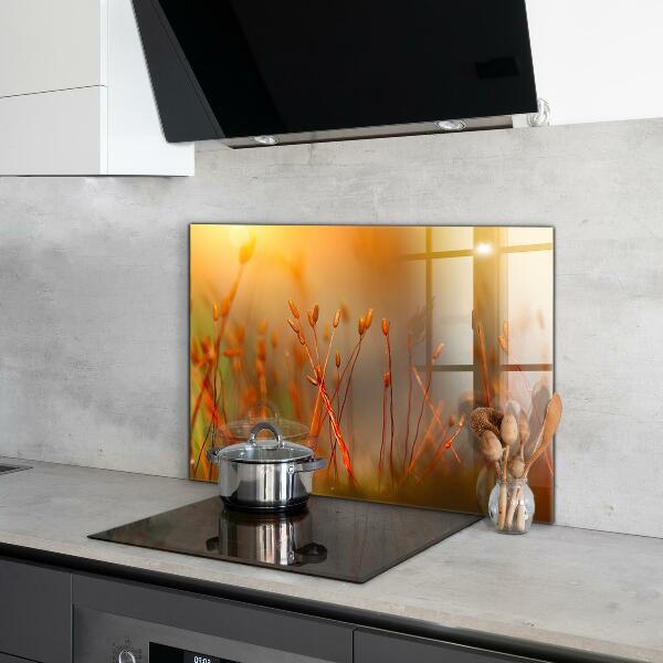 Stänkskydd kök Kornfält vid solnedgången