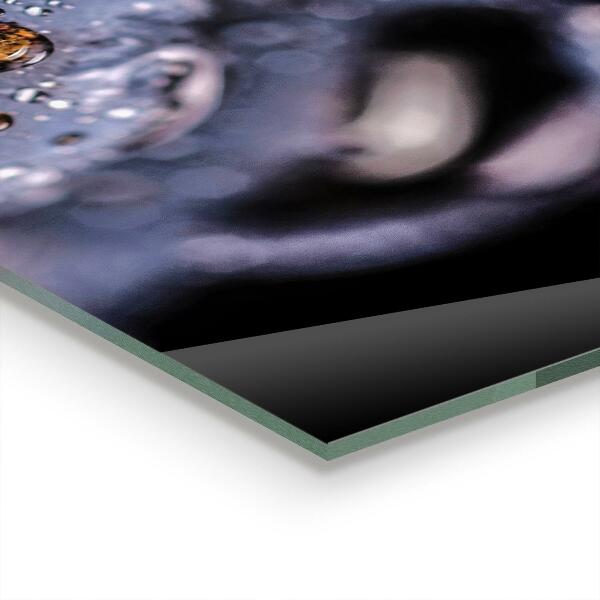 Stänkskydd kök Saftiga blåbär