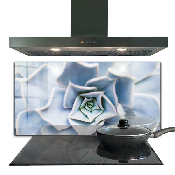 Stänkskydd kök Kaktus Suckulent