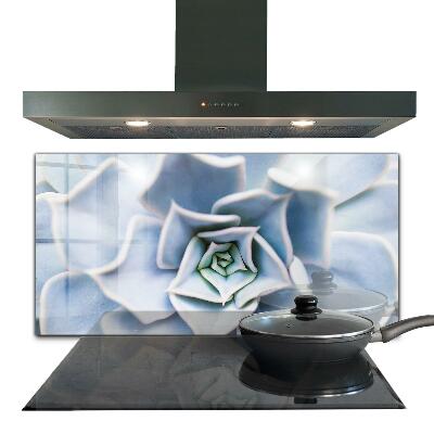 Stänkskydd kök Kaktus Suckulent