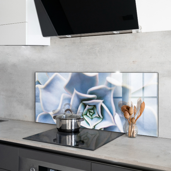 Stänkskydd kök Kaktus Suckulent