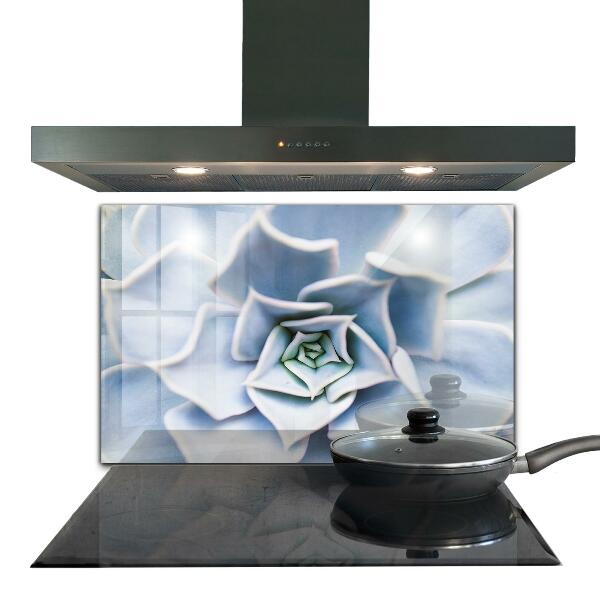 Stänkskydd kök Kaktus Suckulent