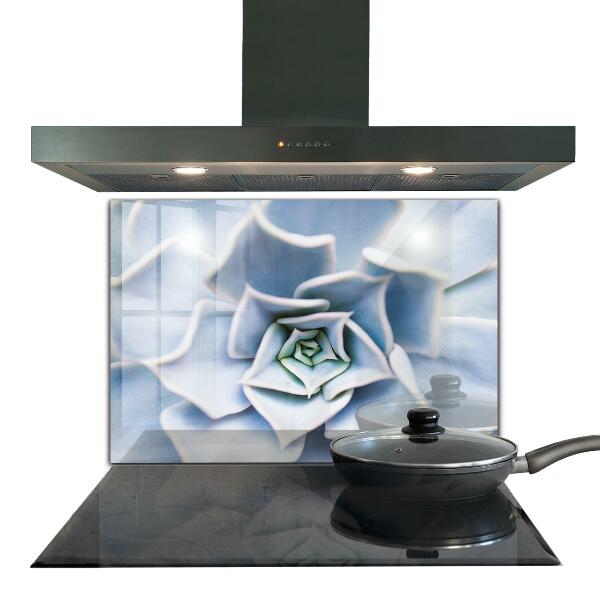 Stänkskydd kök Kaktus Suckulent