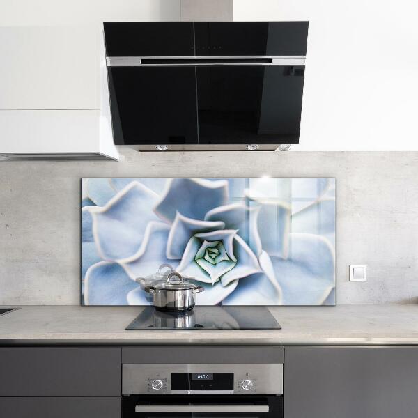 Stänkskydd kök Kaktus Suckulent