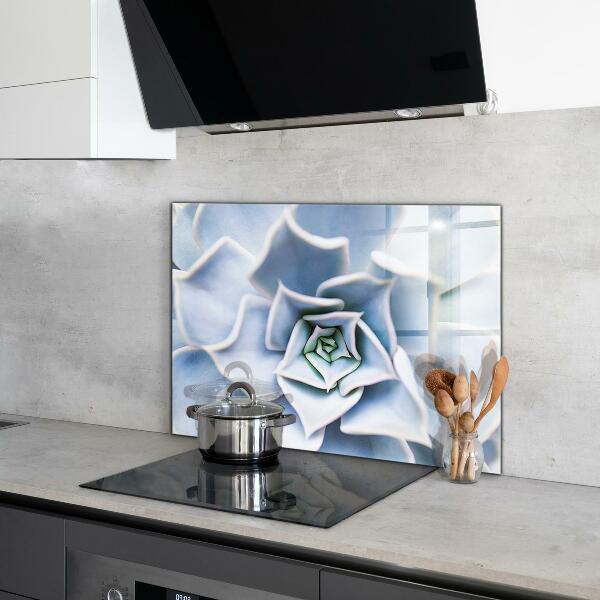 Stänkskydd kök Kaktus Suckulent