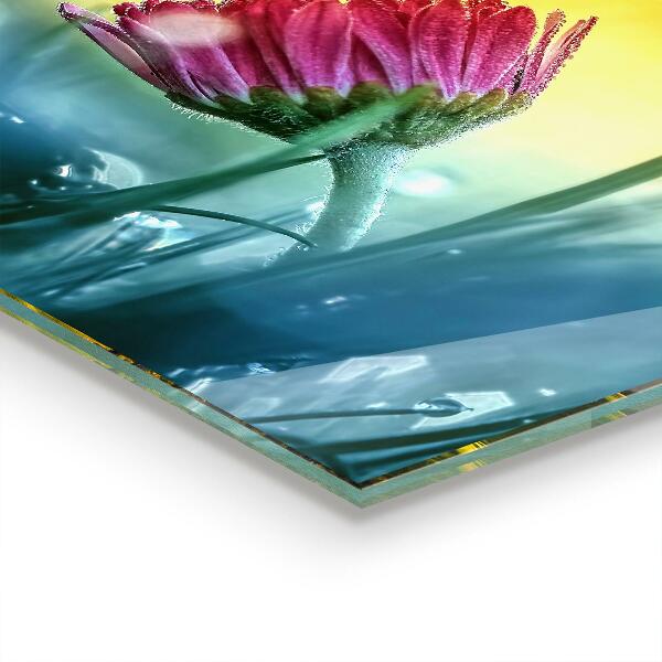 Stänkskydd kök Delikat Daisy in the Meadow