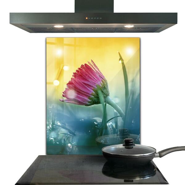 Stänkskydd kök Delikat Daisy in the Meadow