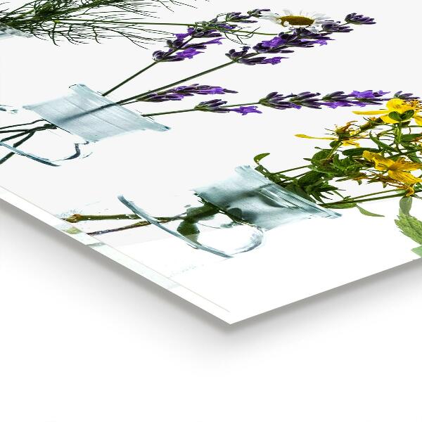 Stänkskydd kök Naturliga örter hälsa