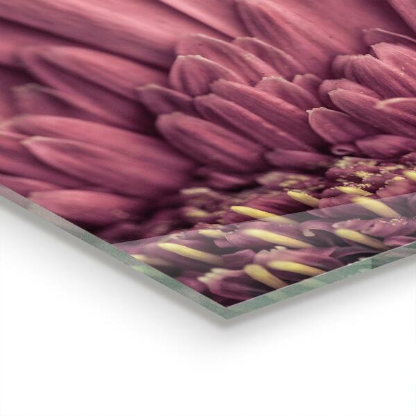 Stänkskydd kök Blomma Margaretka Gerbera