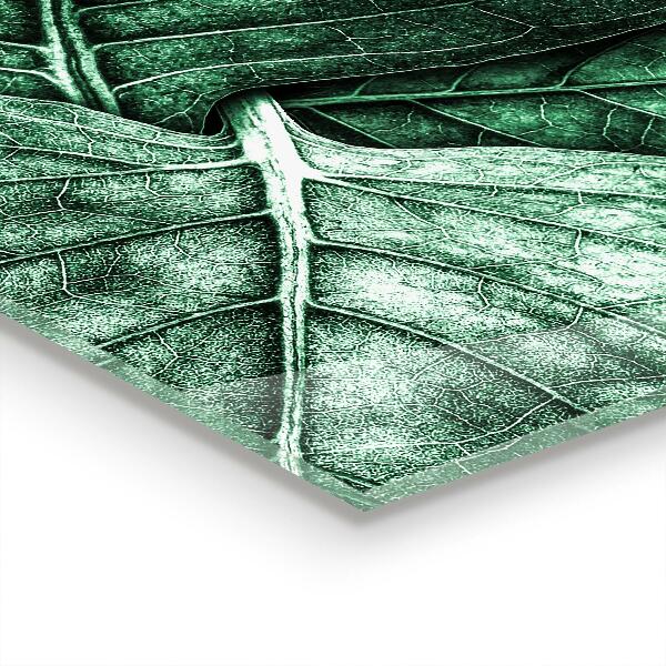 Stänkskydd kök Gröna blad detaljer