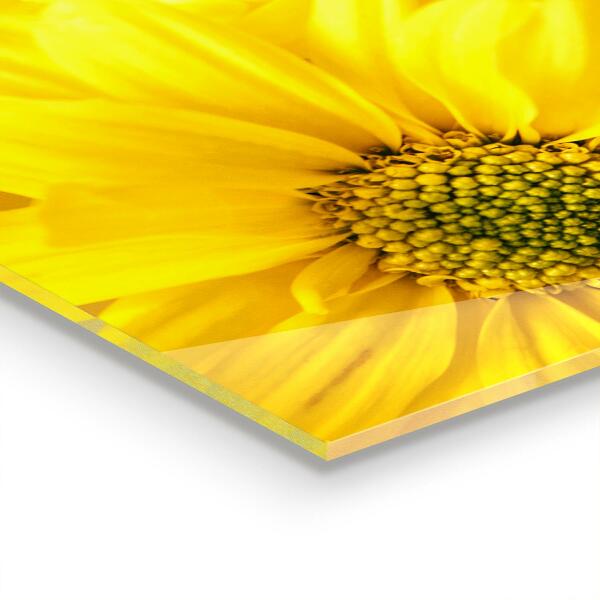 Stänkskydd kök Sommar gula blommor